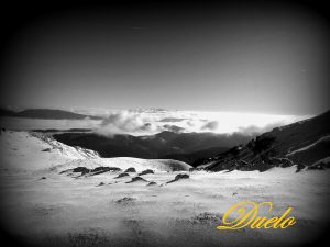 PERDER AL SER QUERIDO: LAS TAREAS DEL DUELO (ADULTOS)