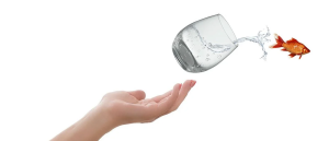 NECESIDADES PELIGROSAS: PARTE II